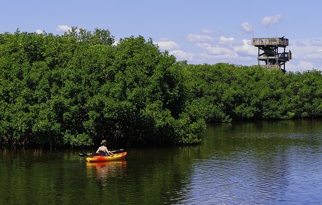 material imprescindible para una travesía en kayak