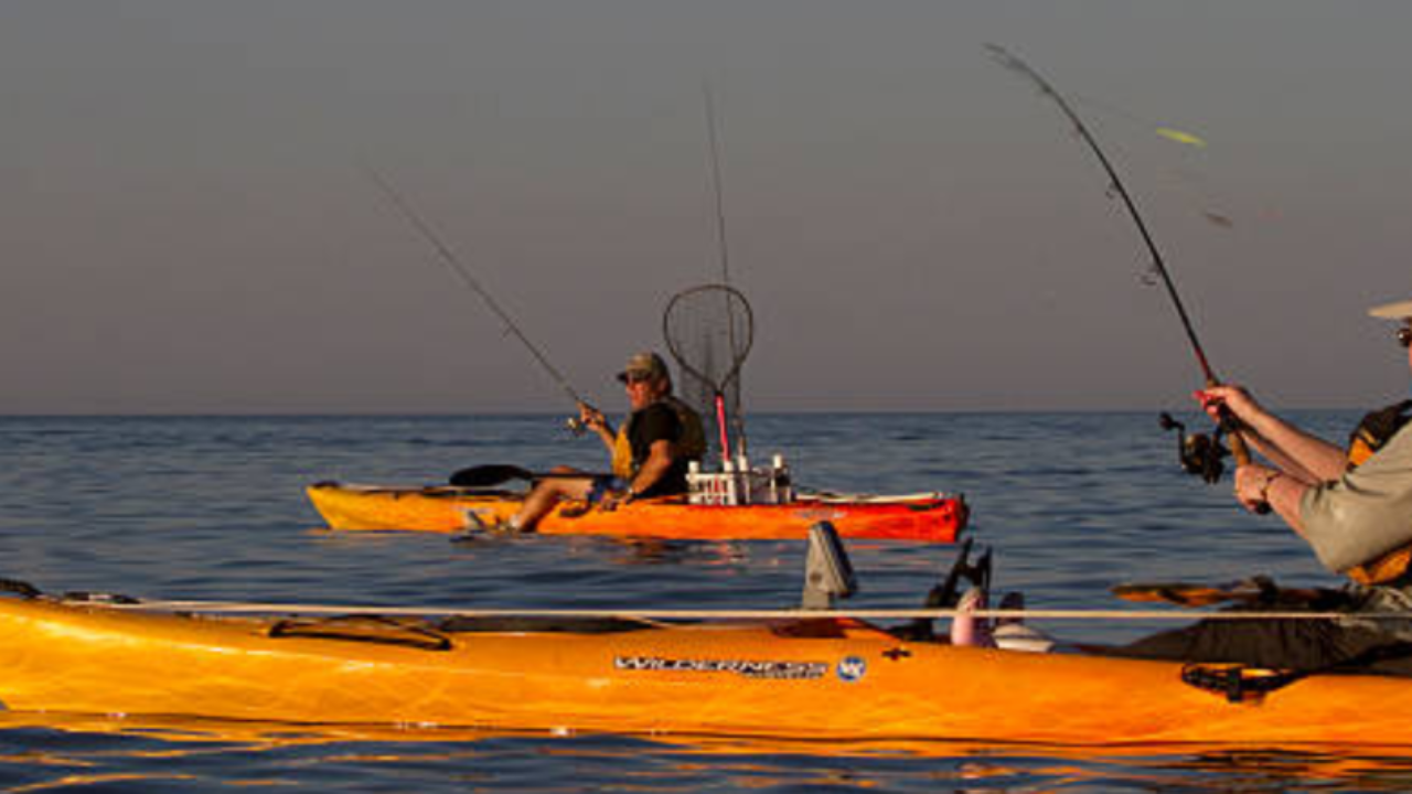 Las mejores cañas para pescar en Kayak - Blog de Kayak