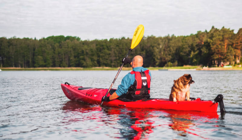 Qué esperar en primer viaje en kayak? - Blog de Kayaking
